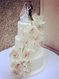 Wedding Cake (結婚蛋糕)(Picture only, please ask for price)